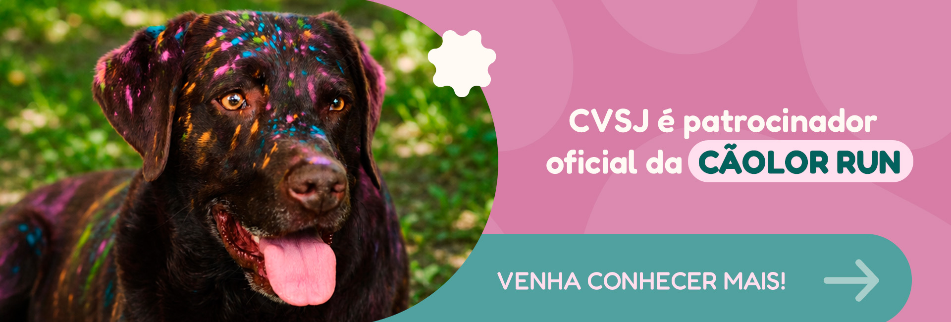 centro veterinário são jorge - cãolor run
