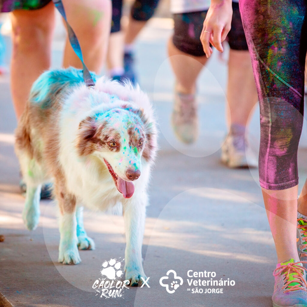 centro veterinário são jorge - cãolor run